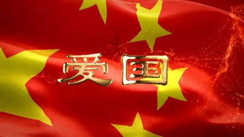 救援小孔雀